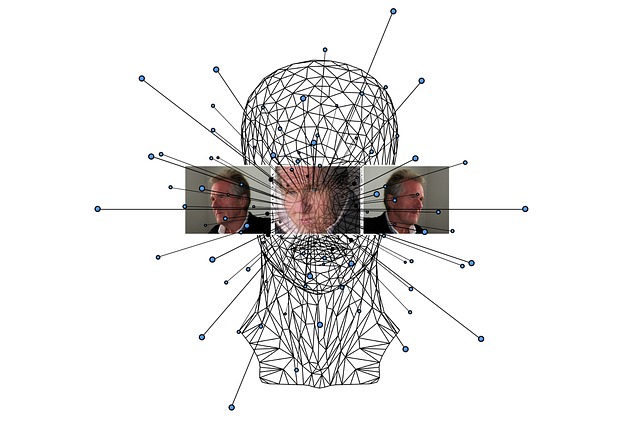 a contour map of a human head, with only lines, there is a lot of lines starting from points outside the head with lines pointing into the head. And three images of a person in TV form are placed in front of where the eyes are.