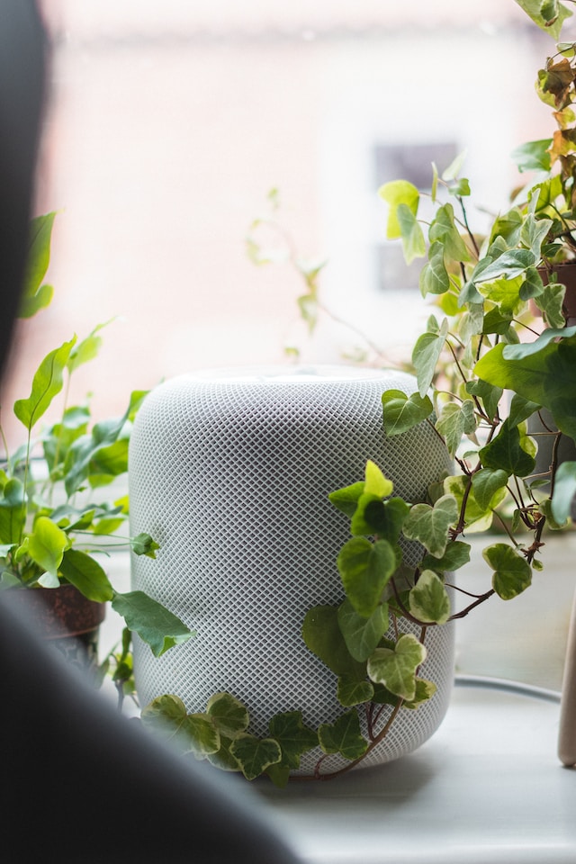 A smart hub sitting near some green plants.